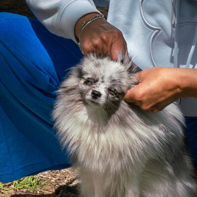 Neri_Frisur
