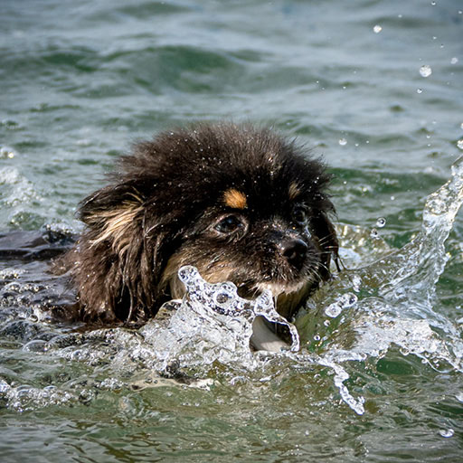 Baden