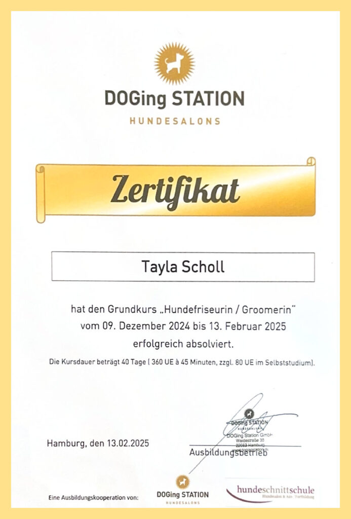 Groomer-Zertifikat